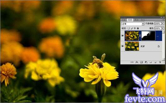 Adobe Camera Raw结合photoshop后期修图流程详解 优图宝网 四叶草原创教程