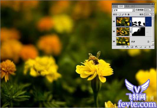 Adobe Camera Raw结合photoshop后期修图流程详解 优图宝网 四叶草原创教程