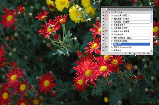 Photoshop CS4动作基础入门教程
