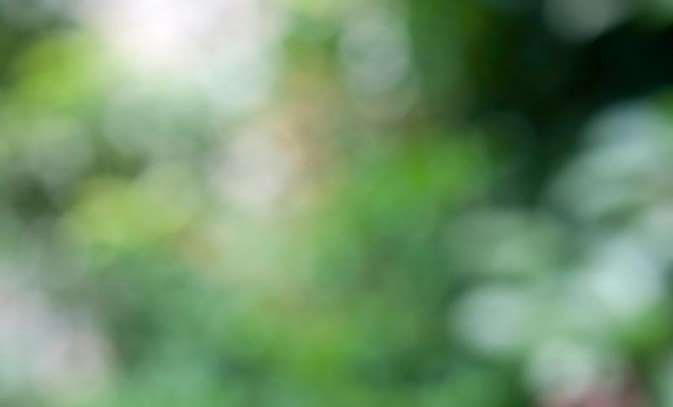 PS简单快速打造梦幻荷花 优图宝网 PS入门实例教程
