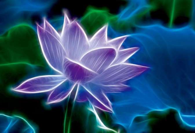 PS简单快速打造梦幻荷花 优图宝网 PS入门实例教程