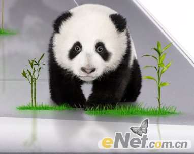 Photoshop设计手绘板上面走动的熊猫场景,52photoshop教程