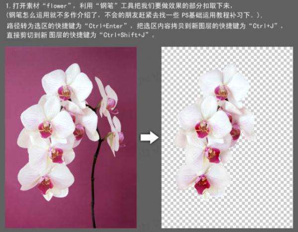 PS合成诱人牛奶花朵效果海报 优图宝 PS图片合成教程
