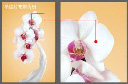 PS合成诱人牛奶花朵效果海报 优图宝 PS图片合成教程