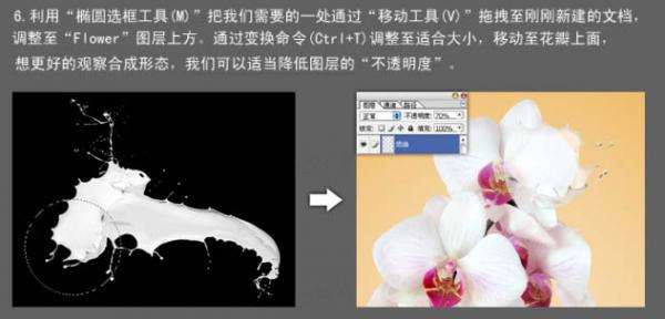 PS合成诱人牛奶花朵效果海报 优图宝 PS图片合成教程