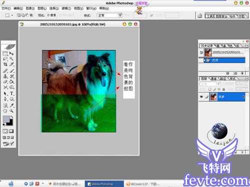 Photoshop抠出动物复杂毛教程 优图宝 PS图片合成教程