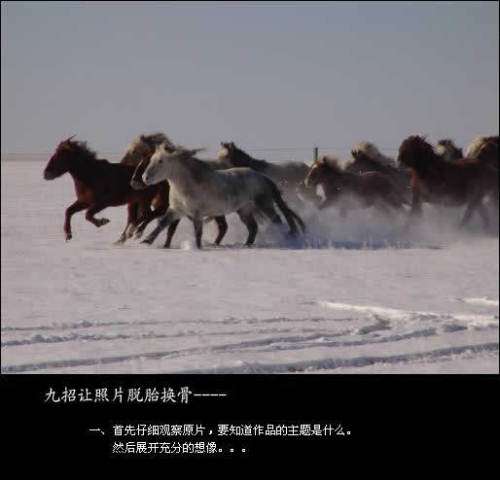 PS合成雪原奔跑的骏马 优图宝 PS图片合成教程