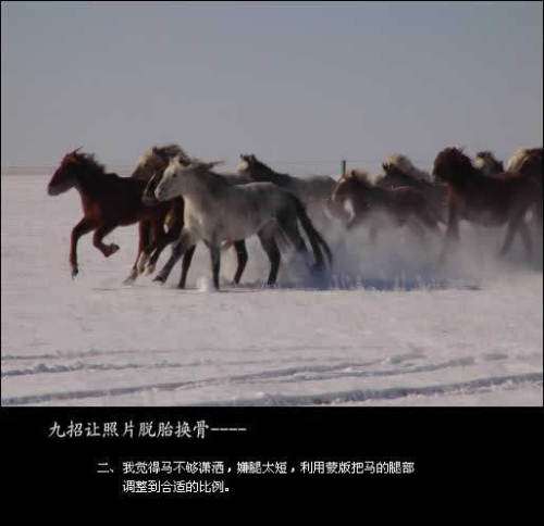 PS合成雪原奔跑的骏马 优图宝 PS图片合成教程