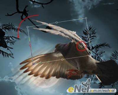 PS合成夜空中飞翔的鸽子效果 优图宝 PS图片合成教程