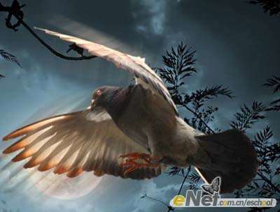 PS合成夜空中飞翔的鸽子效果 优图宝 PS图片合成教程