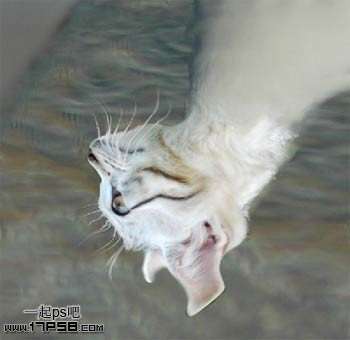 ps合成长猫头的鸽子 优图宝 ps图片合成教程