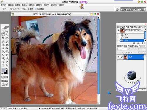 Photoshop抠出动物复杂毛教程 优图宝 PS图片合成教程