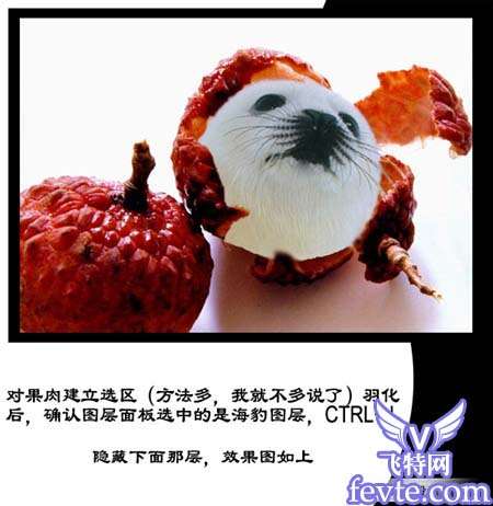 PS合成漂亮的海豹脸型水果 优图宝 PS图片合成教程