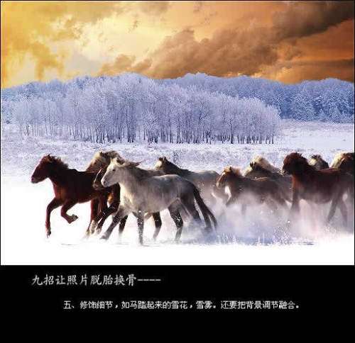 PS合成雪原奔跑的骏马 优图宝 PS图片合成教程