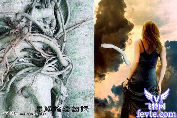 Photoshop制作树枝都心动的美女 优图宝 PS图片合成教程