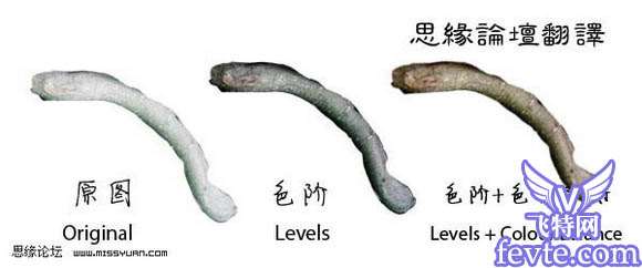 Photoshop制作树枝都心动的美女 优图宝 PS图片合成教程