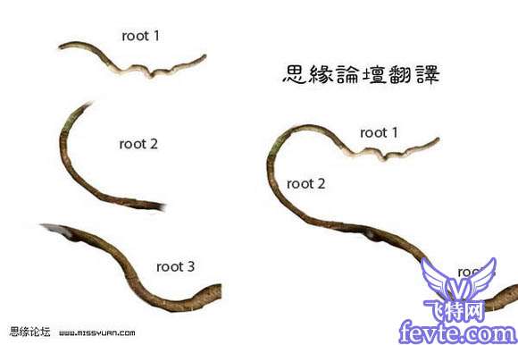 Photoshop制作树枝都心动的美女 优图宝 PS图片合成教程