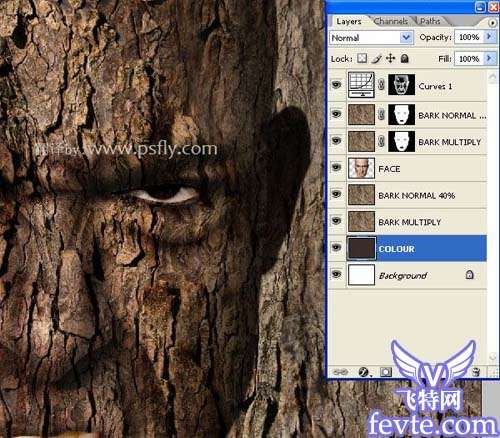 photoshop合成恐怖的树皮脸 优图宝 PS图片合成教程