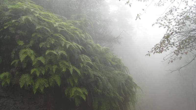 PS合成写意风景画 优图宝 PS图片合成教程