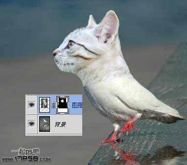 PS合成长猫头的鸽子 优图宝 PS图片合成教程