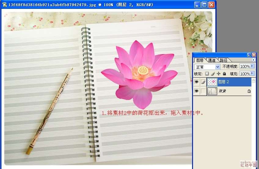 PS合成画在练习本上的荷花 优图宝 PS图片合成教程
