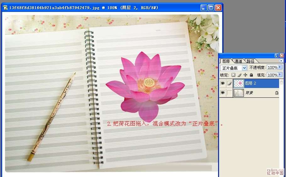 PS合成画在练习本上的荷花 优图宝 PS图片合成教程