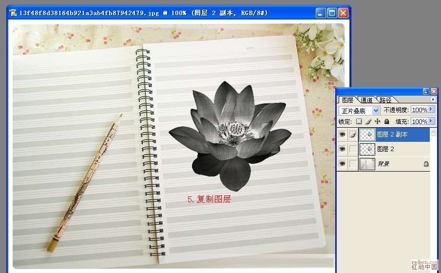 PS合成画在练习本上的荷花 优图宝 PS图片合成教程