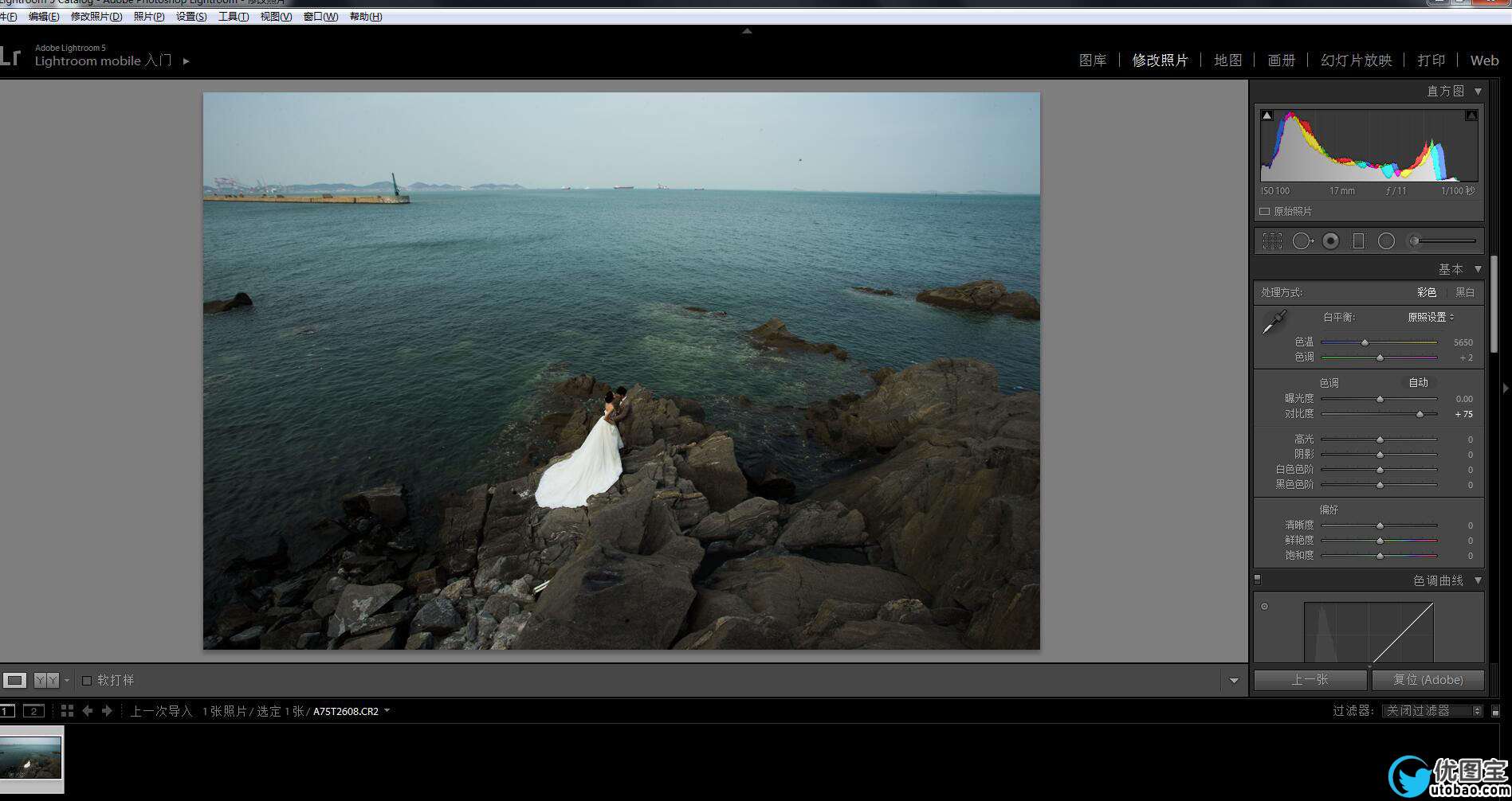 影楼后期，利用LR+PS调出高端大气的海景婚纱写真照片实例_www.utobao.com