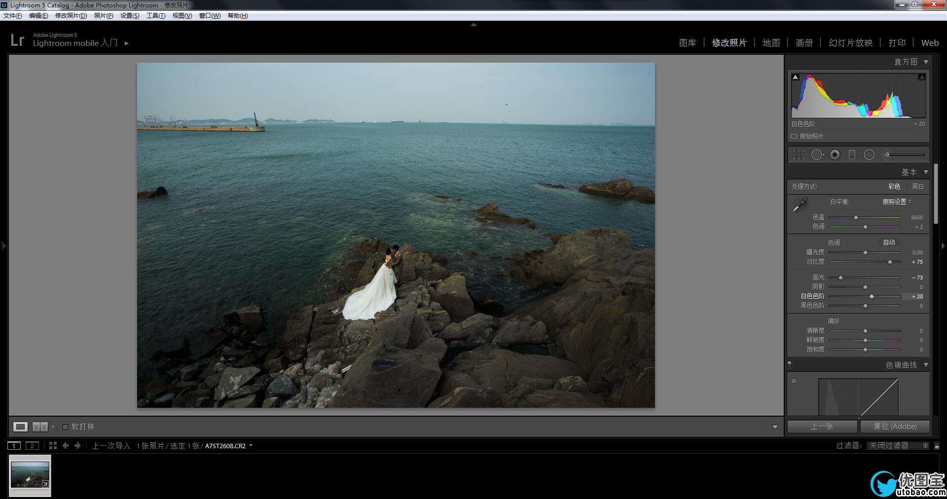 影楼后期，利用LR+PS调出高端大气的海景婚纱写真照片实例_www.utobao.com