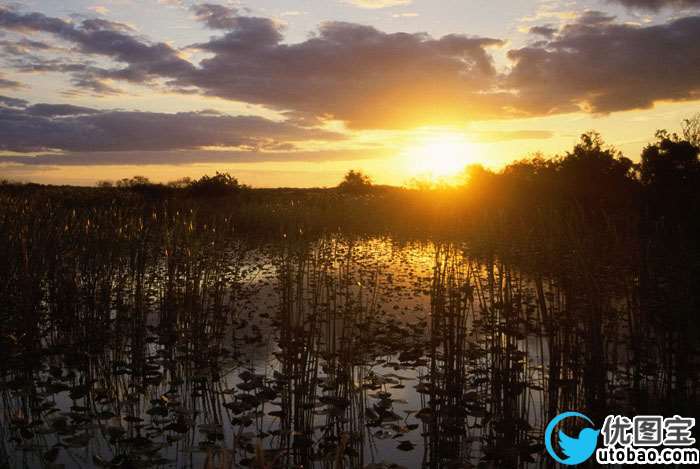 紫黄色，调出浓艳的紫黄色调照片效果_www.utobao.com