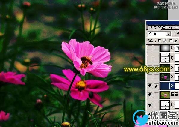 将鲜花突出并虚化背景的PS教程