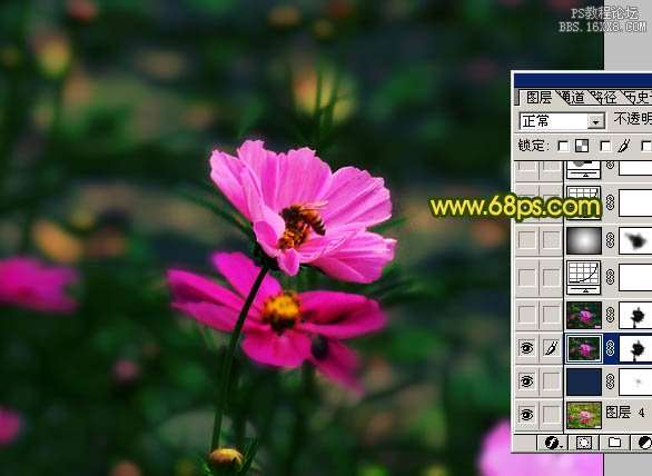 将鲜花突出并虚化背景的PS教程