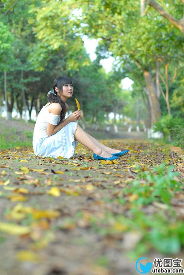 黄绿色，调出浓郁的秋天落叶气氛照片_www.utobao.com