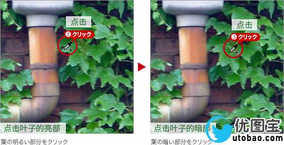 春天变秋天，把绿叶调成丰收的金黄_www.utobao.com