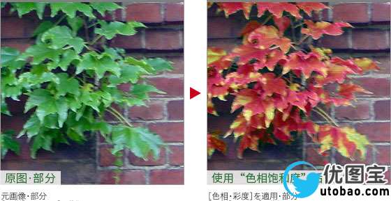 春天变秋天，把绿叶调成丰收的金黄_www.utobao.com