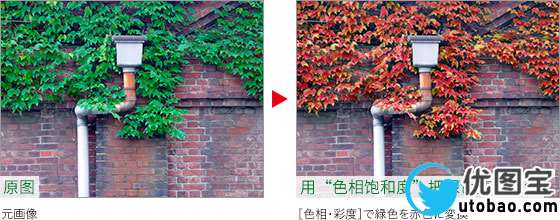 春天变秋天，把绿叶调成丰收的金黄_www.utobao.com