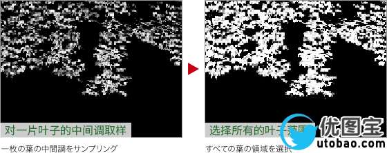 春天变秋天，把绿叶调成丰收的金黄_www.utobao.com
