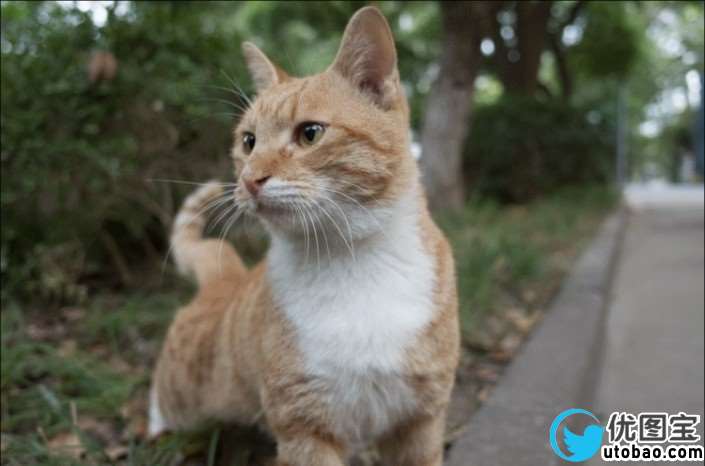 LR快捷键，七个快捷键使你的调色效率猛增_www.utobao.com