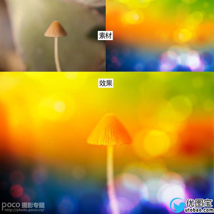 ps教程:www.utobao.com_PS简单打造唯美梦幻的微距生态摄影图片效果教程 教程