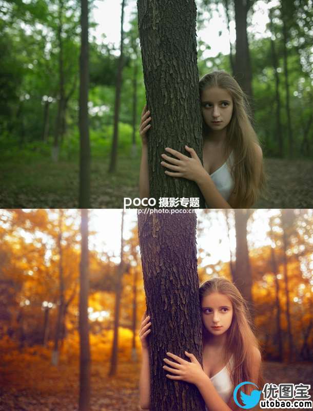 橙黄色调,调橙黄色调森林写真照片实例_www.utobao.com