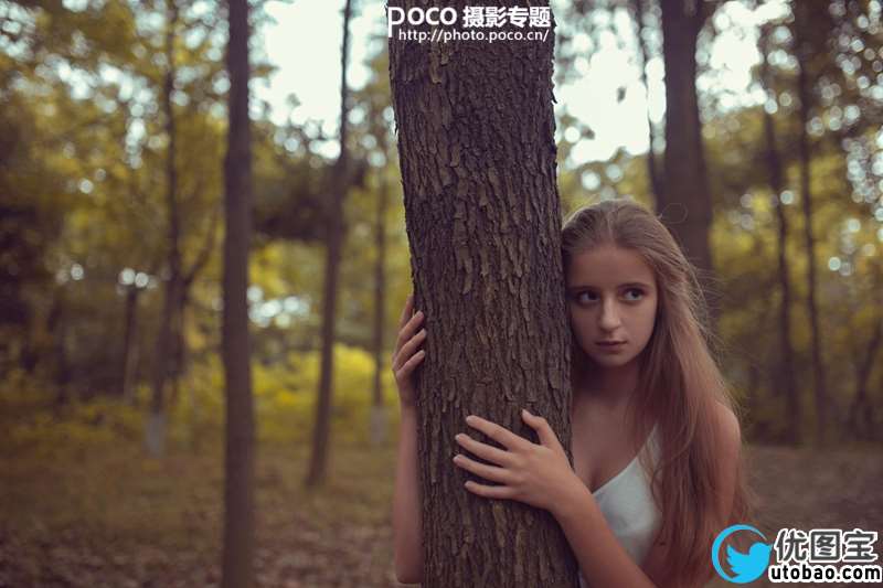 橙黄色调,调橙黄色调森林写真照片实例_www.utobao.com