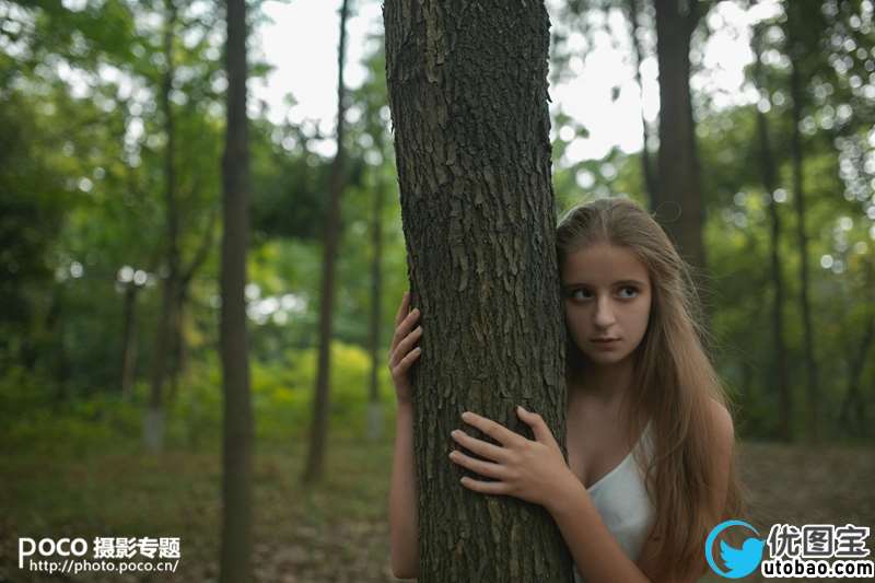 橙黄色调,调橙黄色调森林写真照片实例_www.utobao.com
