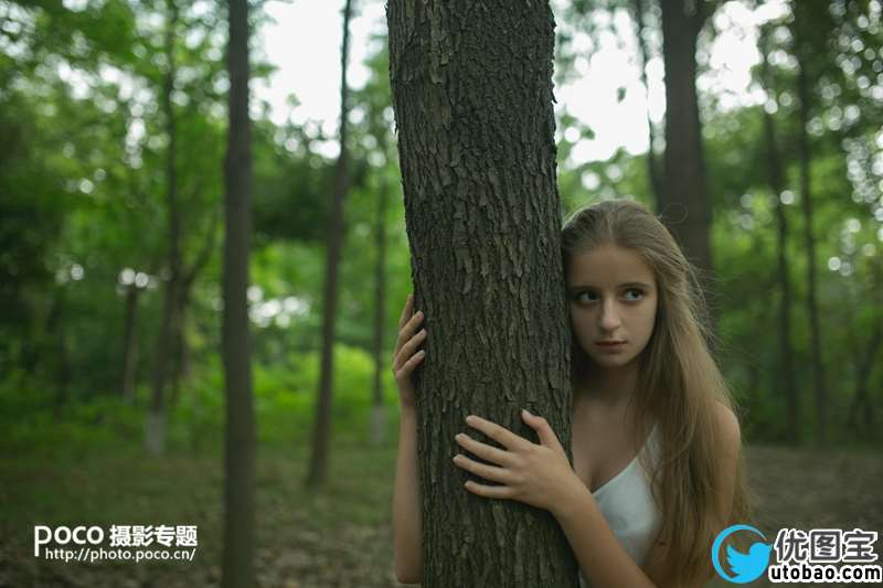 橙黄色调,调橙黄色调森林写真照片实例_www.utobao.com