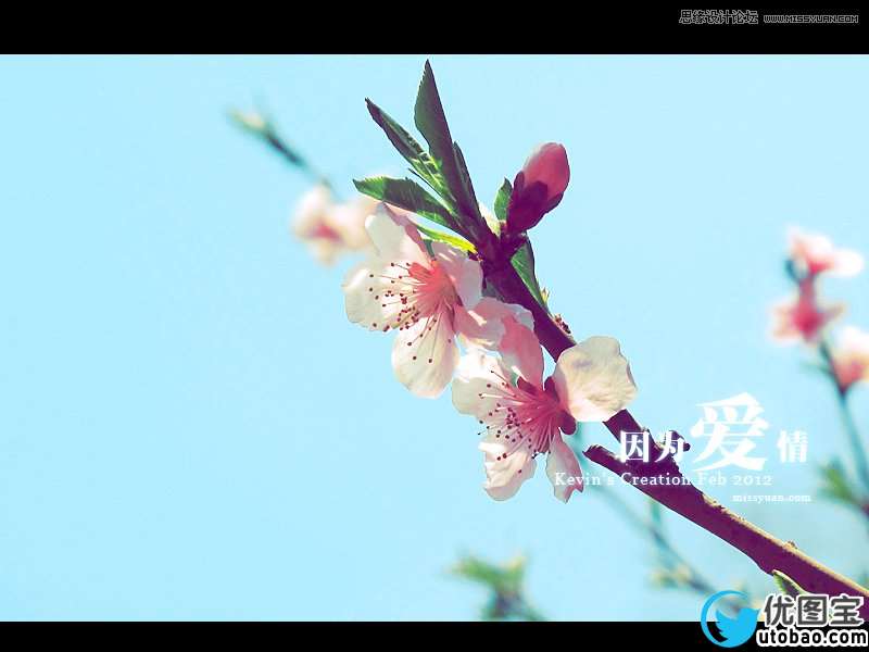 Photoshop调出桃花图片柔美的靓丽色调,PS教程,16xx8.com教程网