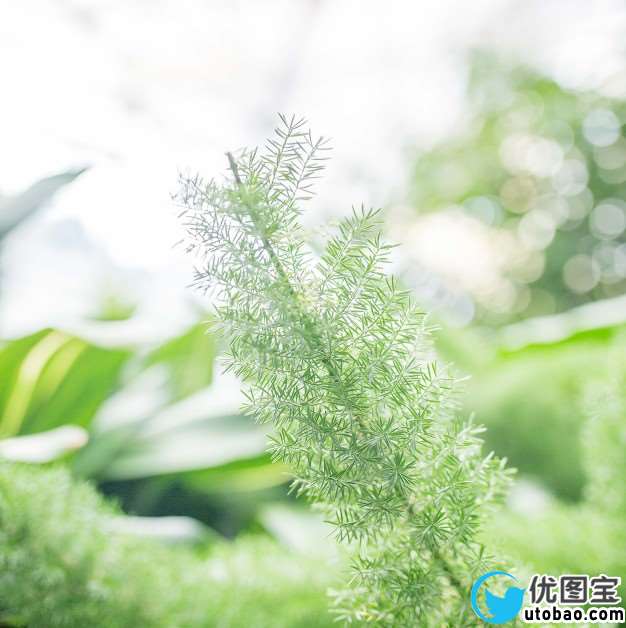 物品调色，静物小清新调色教程_www.utobao.com