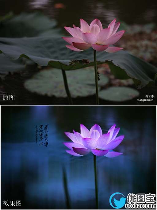 荷花后期,调出朦胧诗意的荷塘月色_www.utobao.com