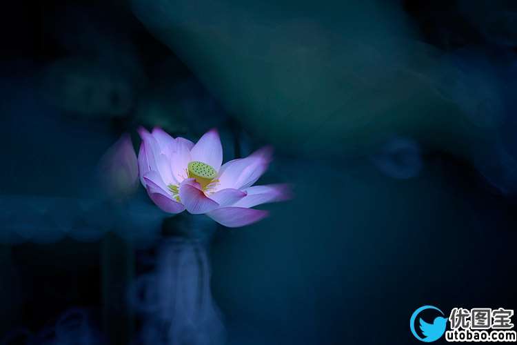 荷花后期,调出朦胧诗意的荷塘月色_www.utobao.com