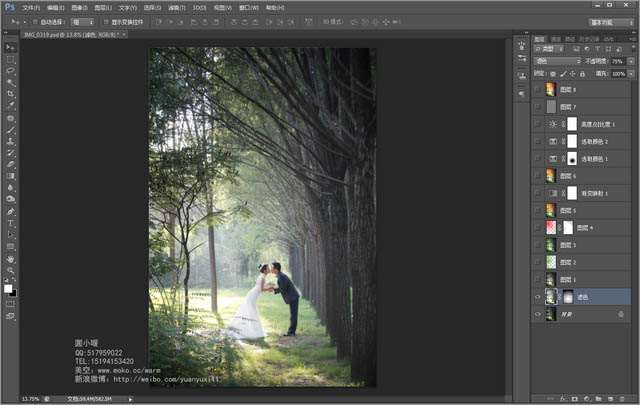 Photoshop给偏暗的树林婚片增加灿烂的阳光色彩