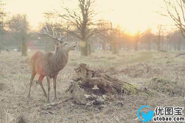 后期知识，影响照片通透的五个因素_www.utobao.com