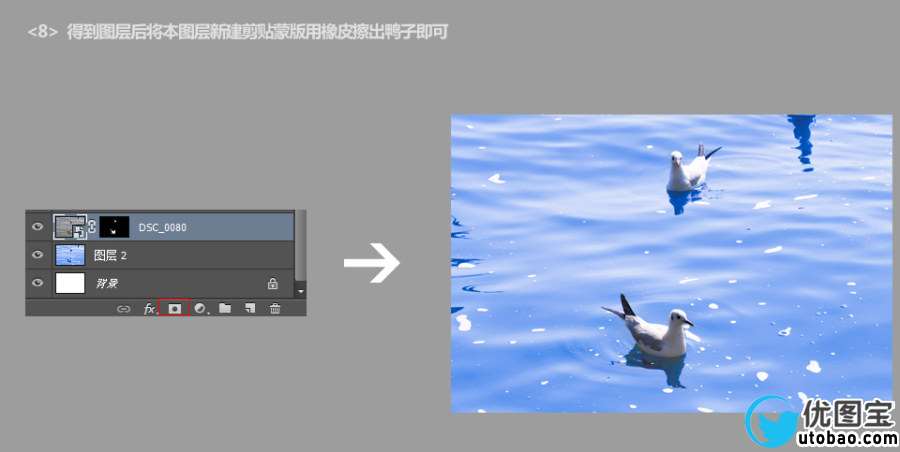 红嘴鸥-后期调色详细步骤分解【（只需十步）将浑浊的海水（湖水